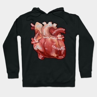 Anatomy of the  Human Heart Hoodie